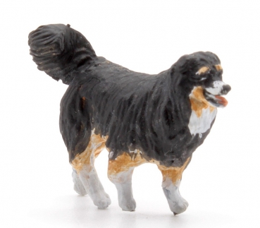 CHIEN RACE BOUVIER BERNOIS, échelle O, Suisse